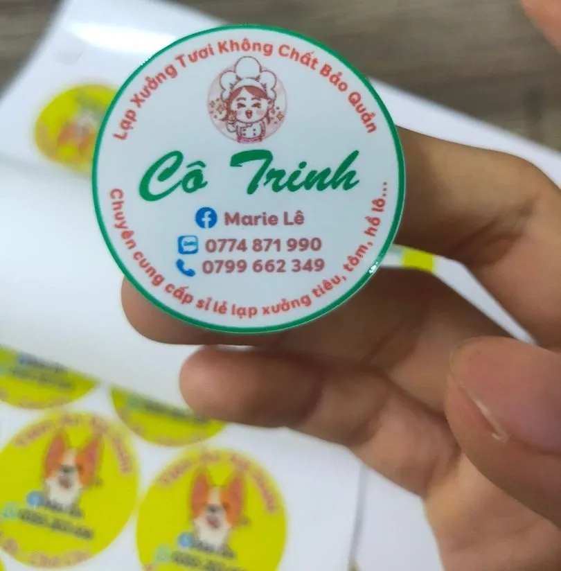 In sticker Mau sticker dan dep 2