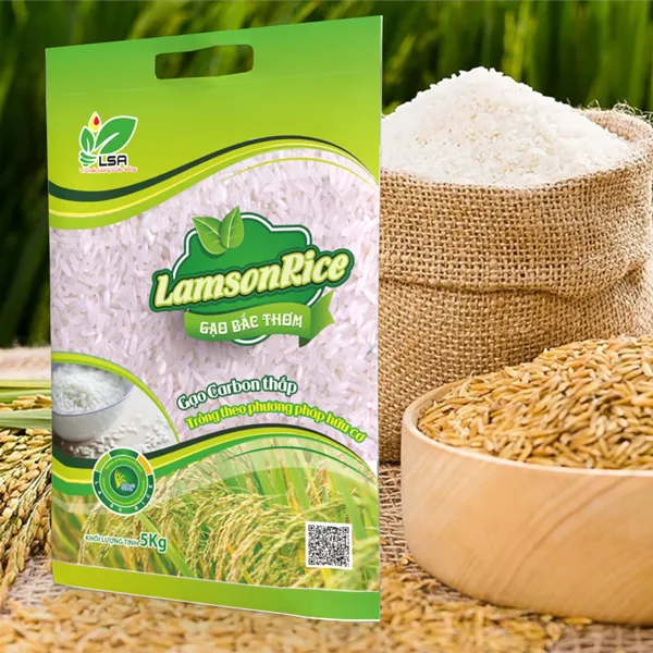 Bao Bì Gạo Bao bì gạo PP dệt là một trong những lựa chọn phổ biến nhất hiện nay