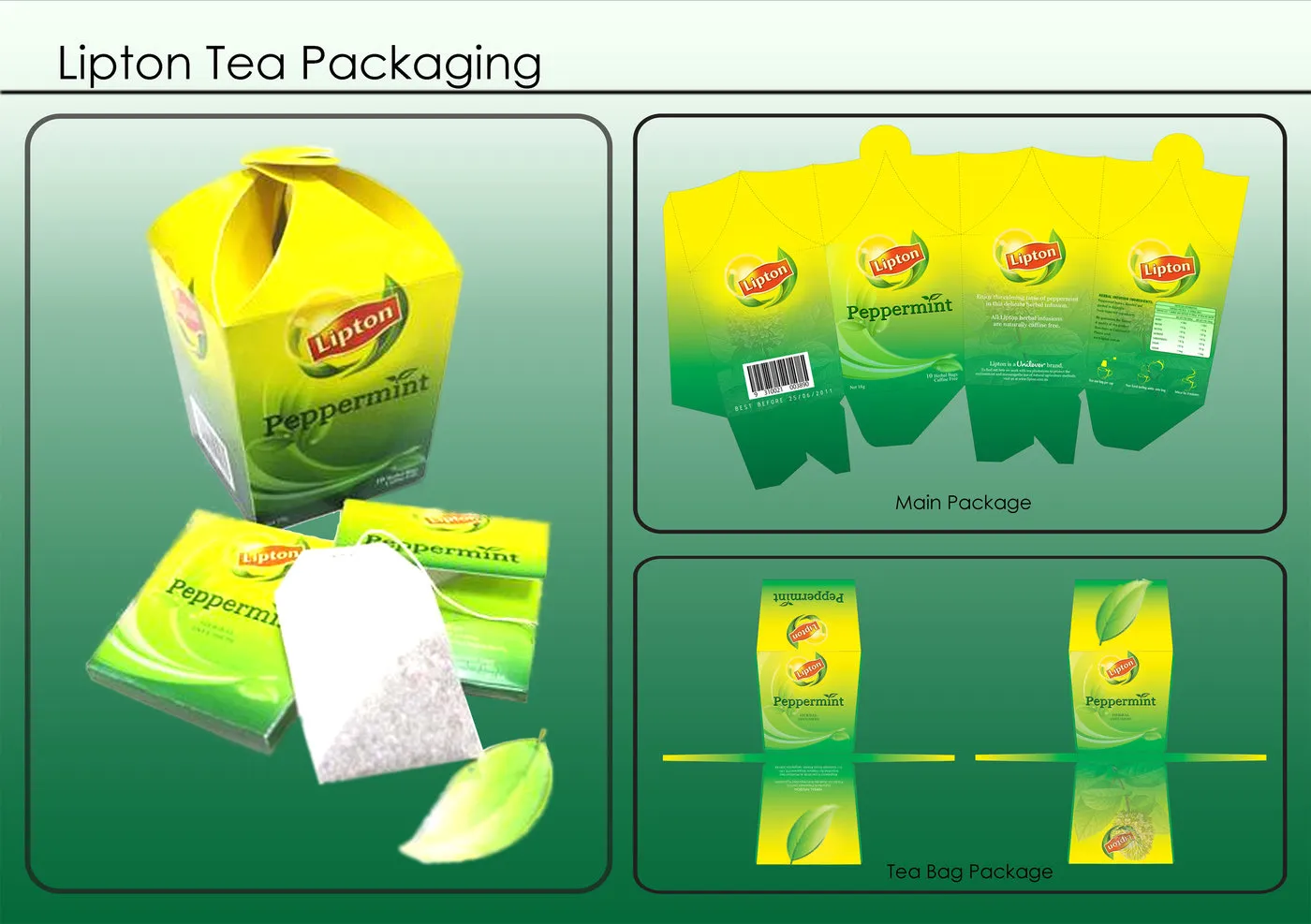 Thiết Kế Bao Bì Sản Phẩm Hướng dẫn Từng Bước Tự Thiết kế Bao bì Sản phẩm Dành cho Người Mới Bắt Đầu