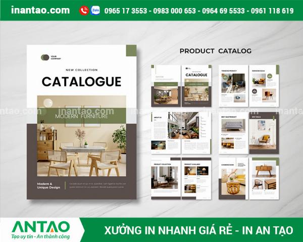 Các loại vật liệu giấy in catalogue phổ biến được sắp xếp gọn gàng, bao gồm giấy Couche bóng, Couche mờ, Bristol và giấy mỹ thuật có vân