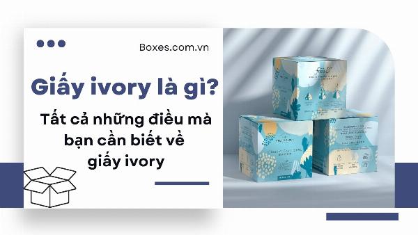 Hình ảnh so sánh trực quan ba loại giấy Ivory, Couche và Duplex về màu sắc và bề mặt