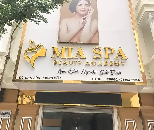 Mẫu bảng hiệu spa thẩm mỹ viện - Ảnh 52